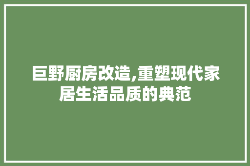 巨野厨房改造,重塑现代家居生活品质的典范
