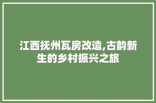 江西抚州瓦房改造,古韵新生的乡村振兴之旅
