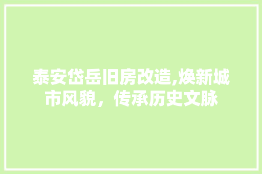 泰安岱岳旧房改造,焕新城市风貌，传承历史文脉