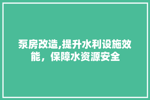 泵房改造,提升水利设施效能，保障水资源安全