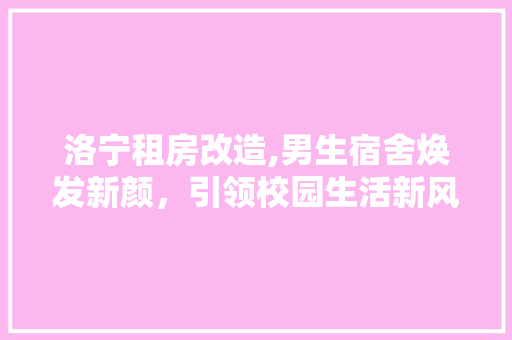 洛宁租房改造,男生宿舍焕发新颜，引领校园生活新风尚