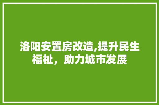 洛阳安置房改造,提升民生福祉，助力城市发展