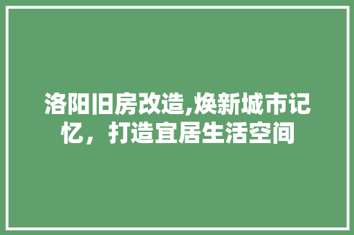 洛阳旧房改造,焕新城市记忆，打造宜居生活空间