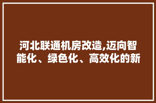 河北联通机房改造,迈向智能化、绿色化、高效化的新篇章