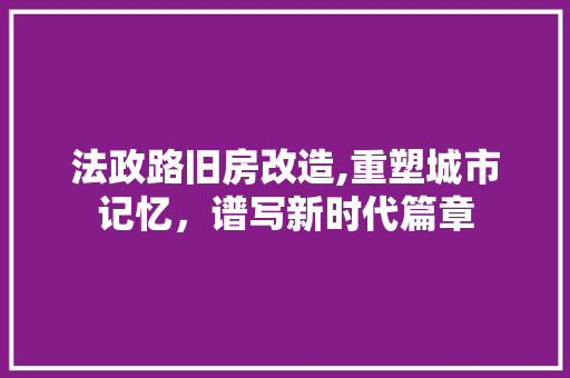 法政路旧房改造,重塑城市记忆，谱写新时代篇章