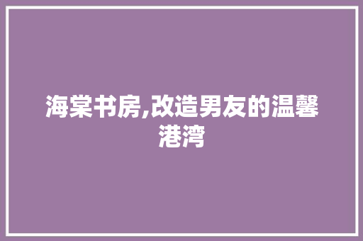 海棠书房,改造男友的温馨港湾