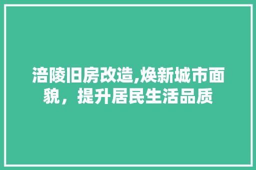 涪陵旧房改造,焕新城市面貌，提升居民生活品质