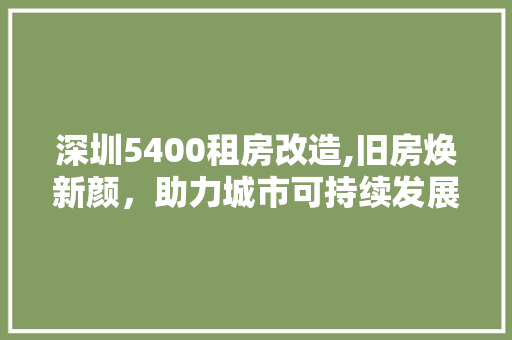 深圳5400租房改造,旧房焕新颜，助力城市可持续发展