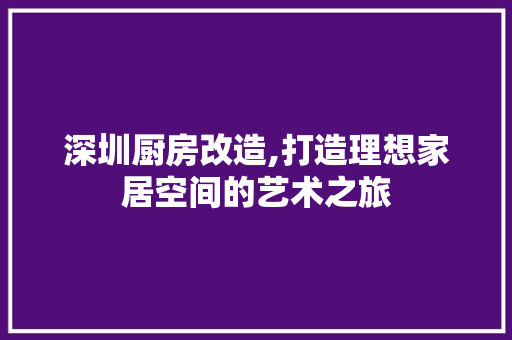 深圳厨房改造,打造理想家居空间的艺术之旅