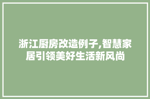 浙江厨房改造例子,智慧家居引领美好生活新风尚