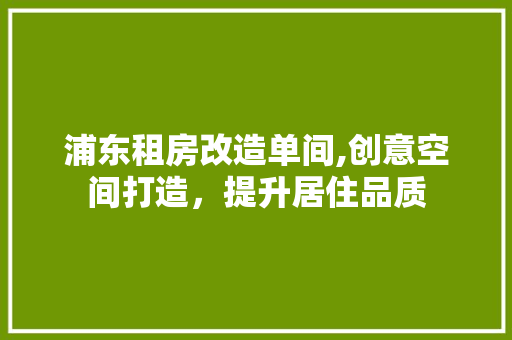 浦东租房改造单间,创意空间打造，提升居住品质