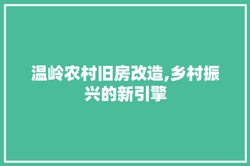 温岭农村旧房改造,乡村振兴的新引擎