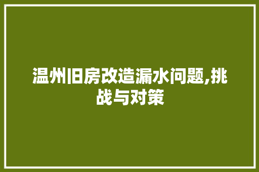 温州旧房改造漏水问题,挑战与对策