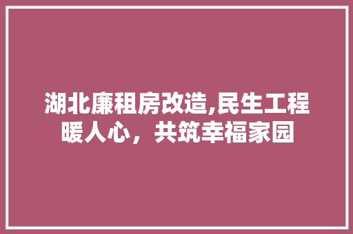 湖北廉租房改造,民生工程暖人心，共筑幸福家园