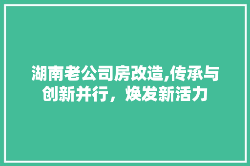 湖南老公司房改造,传承与创新并行，焕发新活力