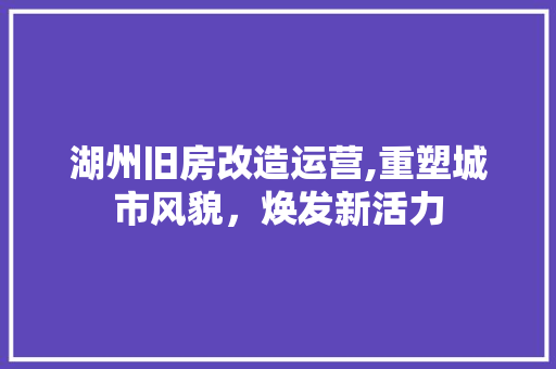 湖州旧房改造运营,重塑城市风貌，焕发新活力