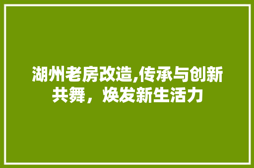 湖州老房改造,传承与创新共舞，焕发新生活力