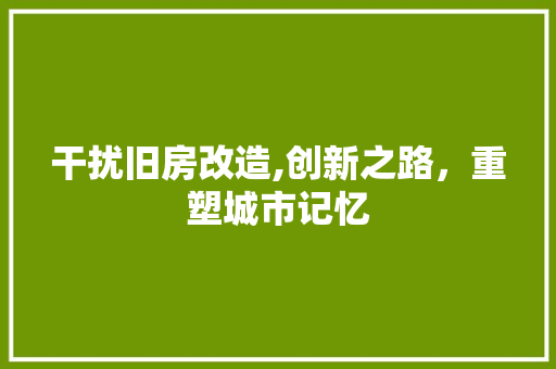 干扰旧房改造,创新之路，重塑城市记忆