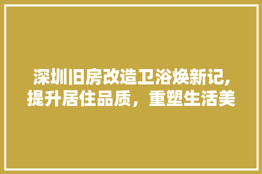 深圳旧房改造卫浴焕新记,提升居住品质，重塑生活美学