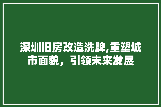 深圳旧房改造洗牌,重塑城市面貌，引领未来发展