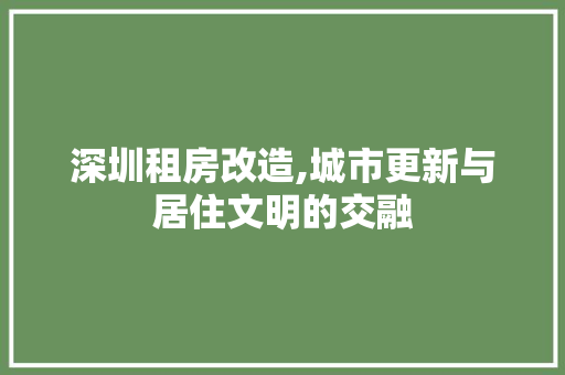深圳租房改造,城市更新与居住文明的交融
