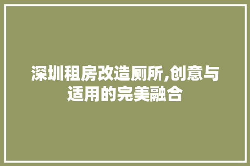 深圳租房改造厕所,创意与适用的完美融合