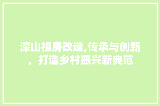 深山祖房改造,传承与创新，打造乡村振兴新典范