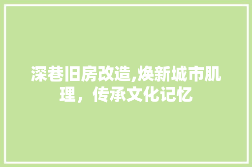 深巷旧房改造,焕新城市肌理，传承文化记忆
