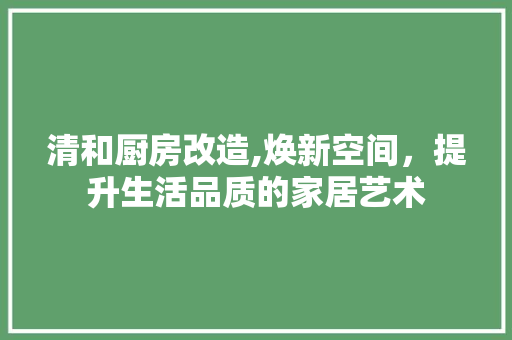 清和厨房改造,焕新空间，提升生活品质的家居艺术