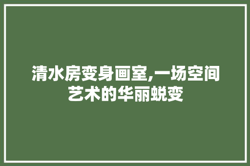 清水房变身画室,一场空间艺术的华丽蜕变