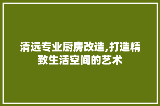 清远专业厨房改造,打造精致生活空间的艺术
