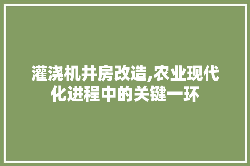 灌浇机井房改造,农业现代化进程中的关键一环