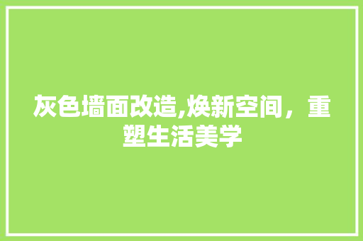 灰色墙面改造,焕新空间，重塑生活美学