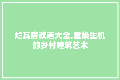 烂瓦房改造大全,重焕生机的乡村建筑艺术