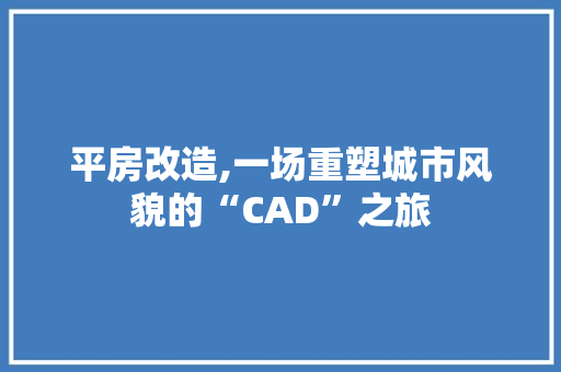 平房改造,一场重塑城市风貌的“CAD”之旅