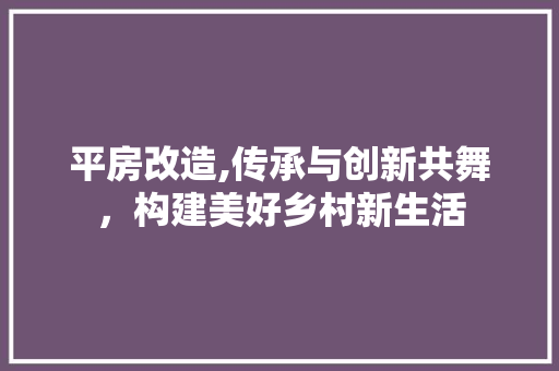 平房改造,传承与创新共舞，构建美好乡村新生活