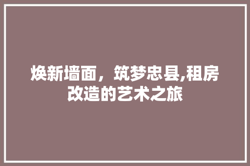 焕新墙面，筑梦忠县,租房改造的艺术之旅