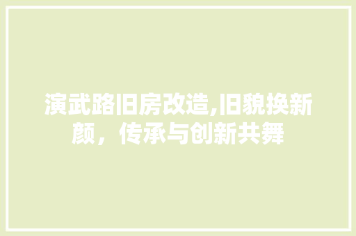 演武路旧房改造,旧貌换新颜，传承与创新共舞