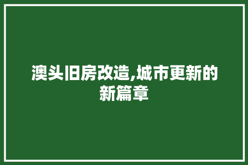 澳头旧房改造,城市更新的新篇章