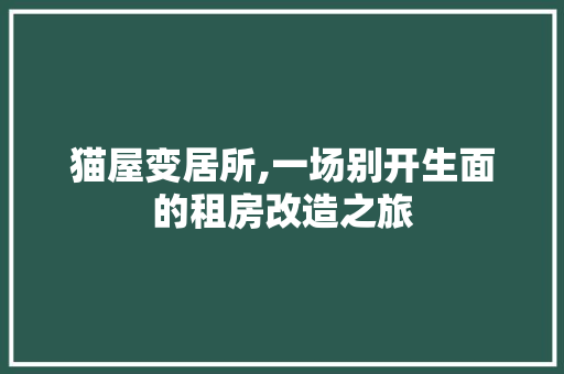 猫屋变居所,一场别开生面的租房改造之旅