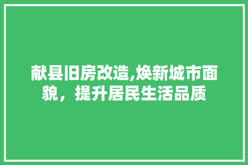 献县旧房改造,焕新城市面貌，提升居民生活品质