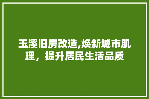 玉溪旧房改造,焕新城市肌理，提升居民生活品质