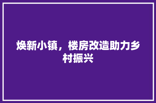 焕新小镇，楼房改造助力乡村振兴