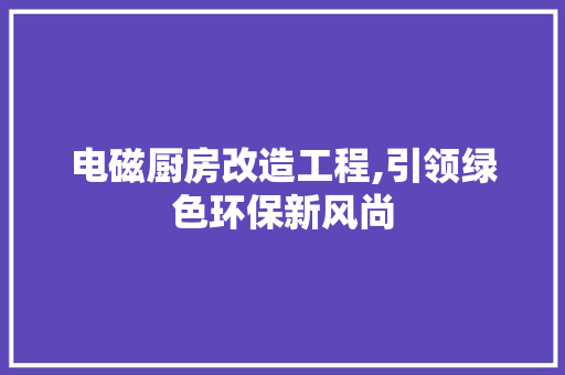 电磁厨房改造工程,引领绿色环保新风尚