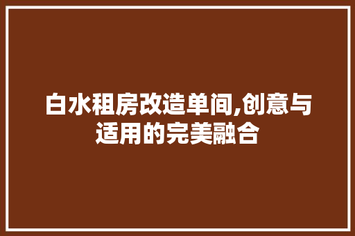 白水租房改造单间,创意与适用的完美融合