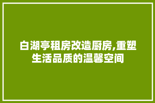 白湖亭租房改造厨房,重塑生活品质的温馨空间