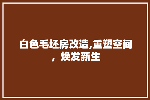 白色毛坯房改造,重塑空间，焕发新生