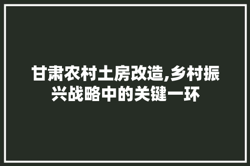 甘肃农村土房改造,乡村振兴战略中的关键一环
