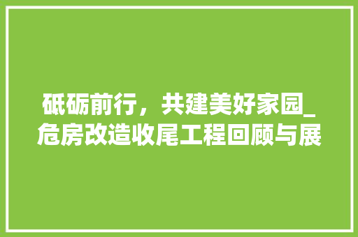 砥砺前行，共建美好家园_危房改造收尾工程回顾与展望