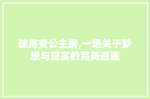 破房变公主房,一场关于梦想与现实的完美邂逅